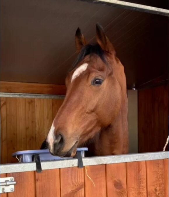 NACH PAUSE UNPLACIERT