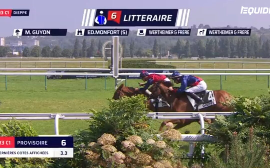 GUTE DRITTE IN DIEPPE