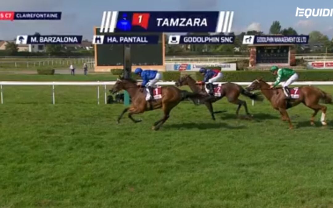 TOLL GELAUFEN – WIEDER ZWEITE