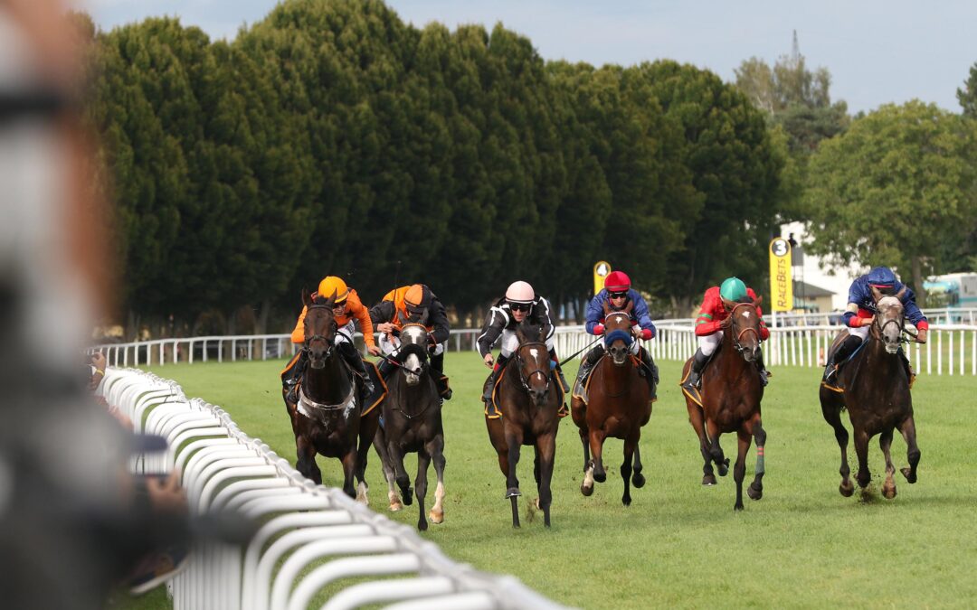 PLACIERUNG ZUM ABSCHLUSS