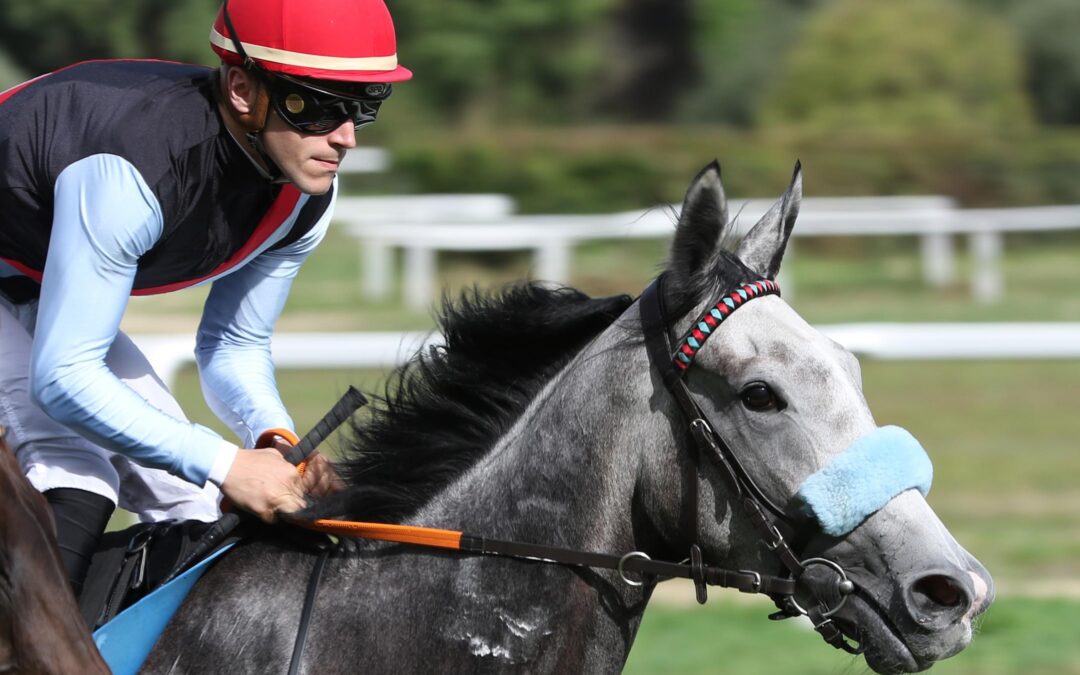 GANZ WEIT OBEN ANGEKOMMEN