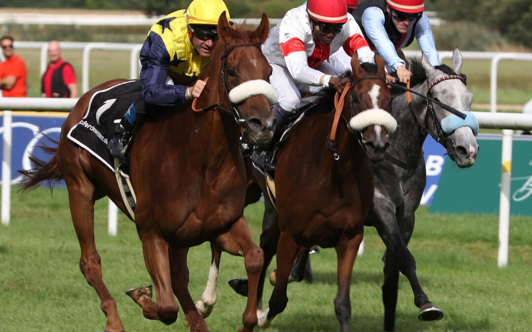 BÄRENSTARKE GRUPPE II DRITTE