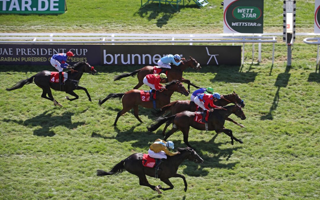 NANJO MIT KOPF ABGEFANGEN