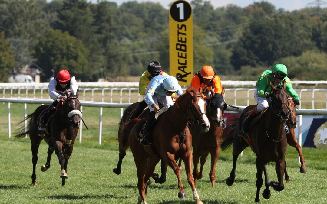 PREISGELD BEI DEN STUTEN