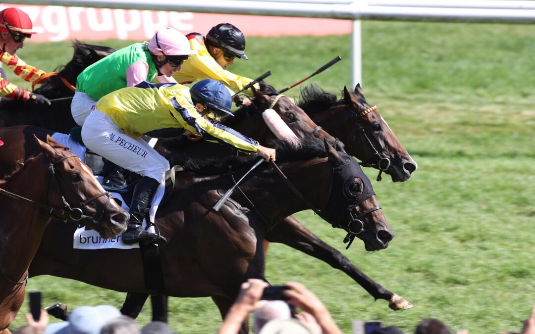 RUBAIYAT TOLLER VIERTER