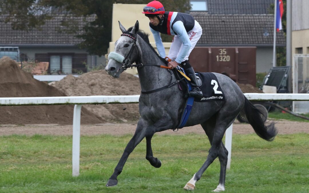 STUTENPOWER AM SAMSTAG