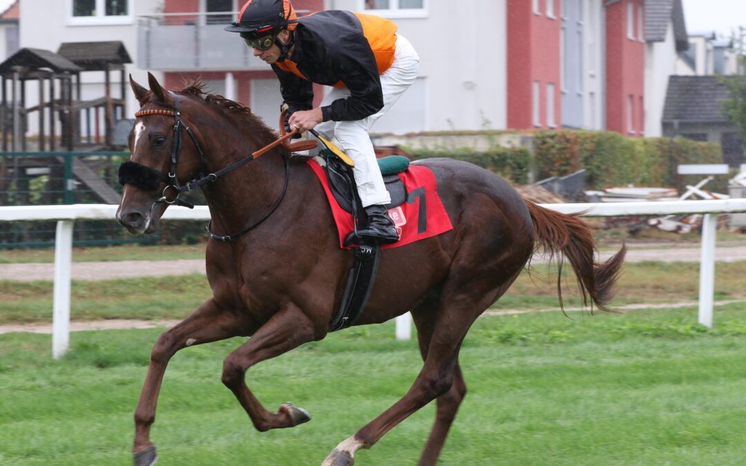 AUF DEN SPUREN DES BRUDERS?