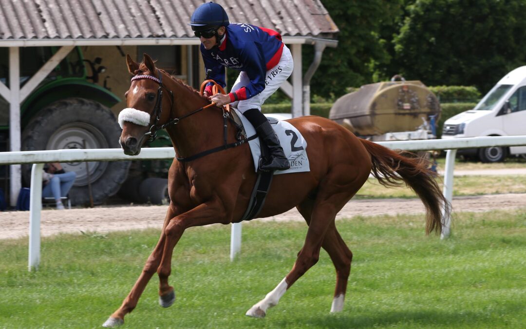 MAGICAL BEAT GOES MILANO