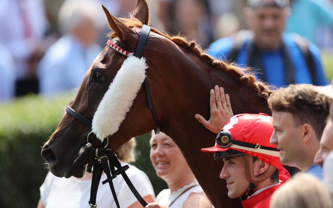 DUO IN STRASBOURG HOERDT