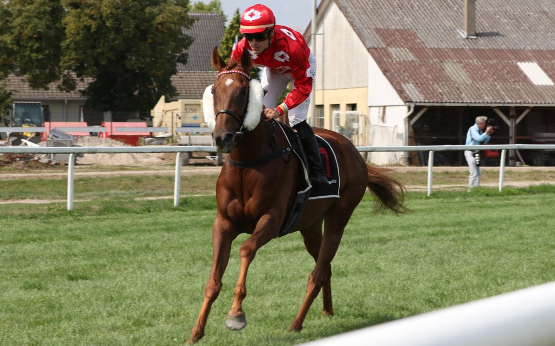 ALS SECHSTE OHNE GELD