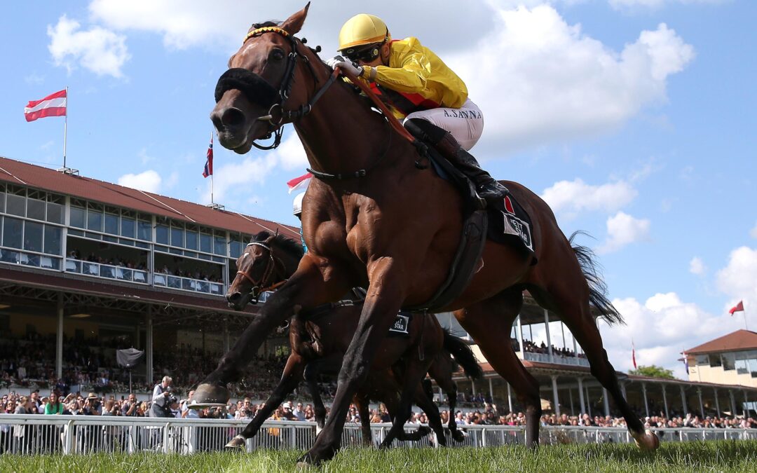 “STURM” AUF DER VENTE DE L’Arc