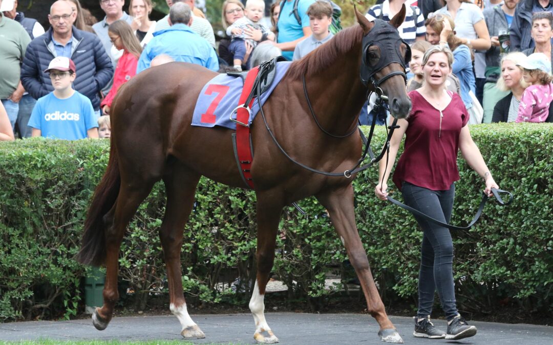 FÜNFTER ABER UNGLÜCKLICH