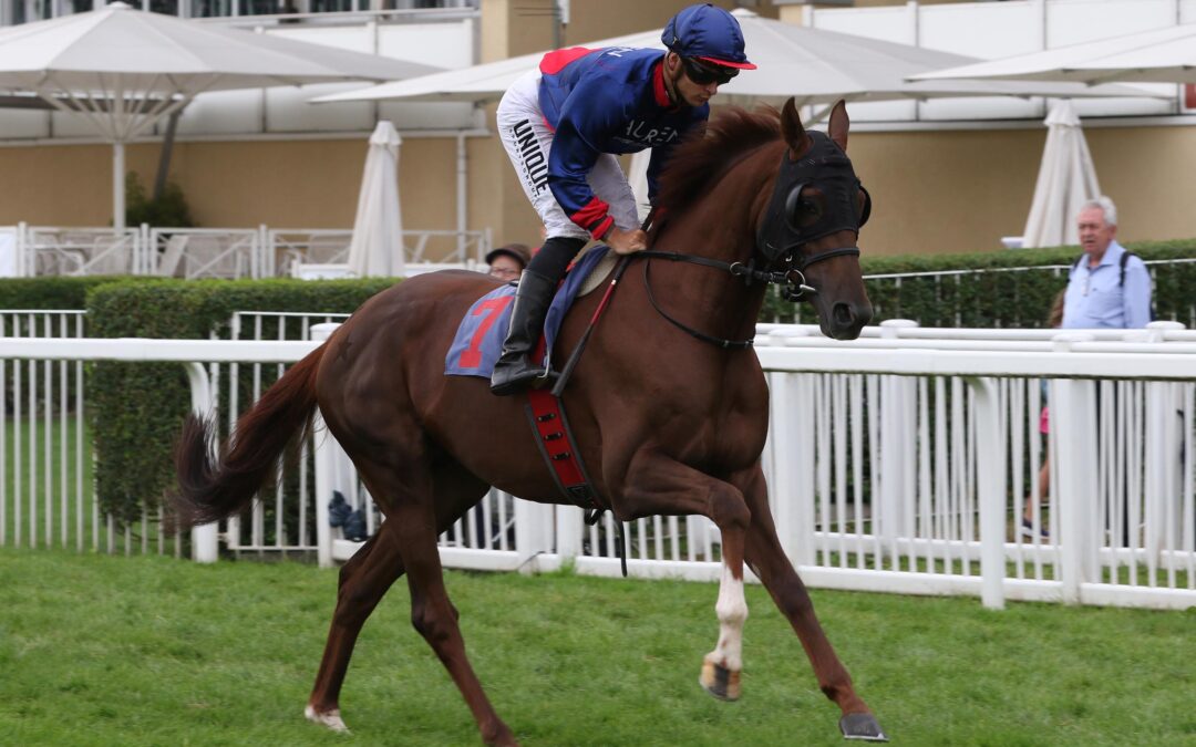 ZWEI STARTER IM HERRENKRUG