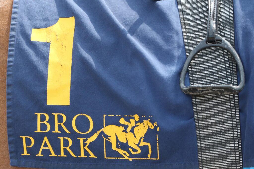 DOPPEL-NENNUNG FÜR „BRO PARK“
