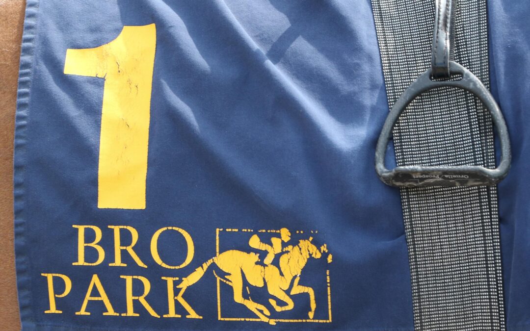 DOPPEL-NENNUNG FÜR “BRO PARK”