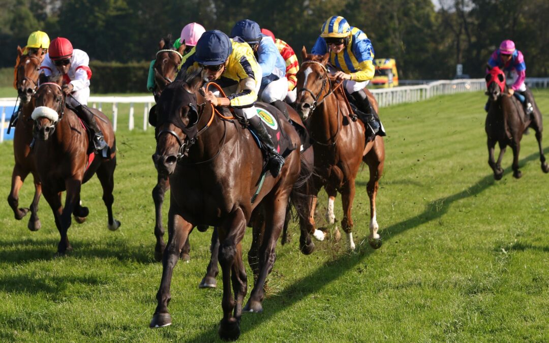 KEIN SIEG ABER WIEDER BLACKTYPE