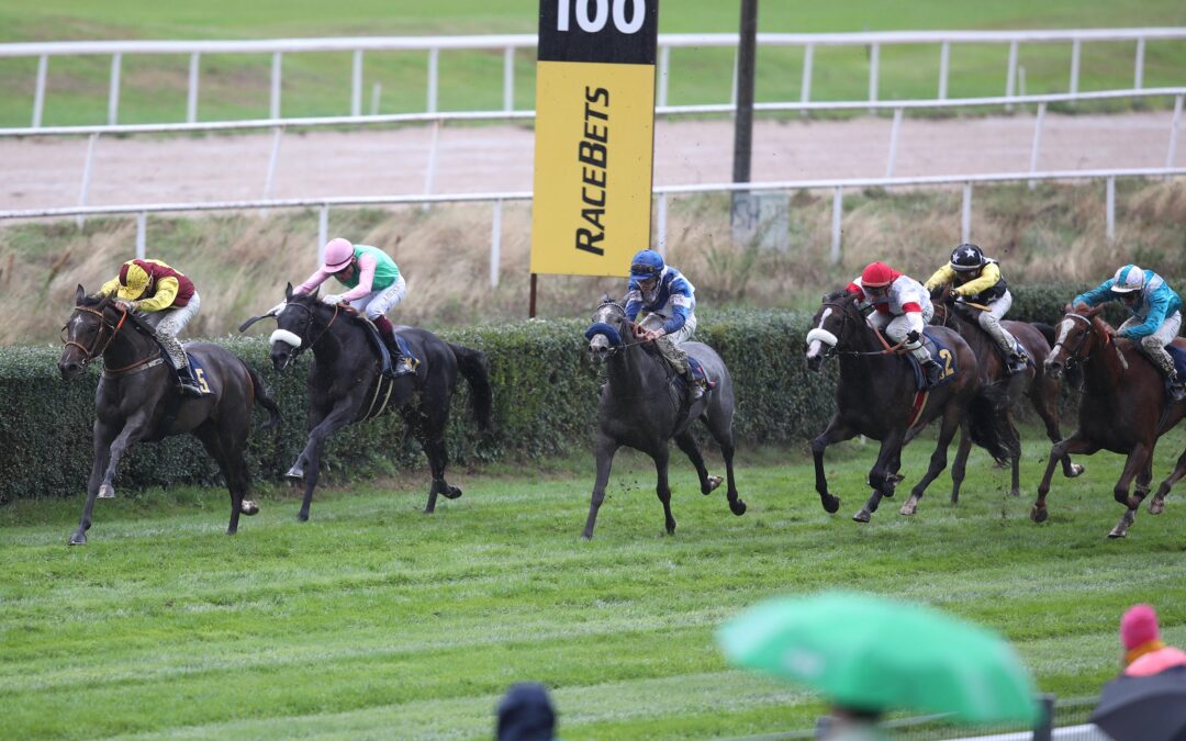 KLEEBLATT ZWEITE ABER UNGLÜCKLICH