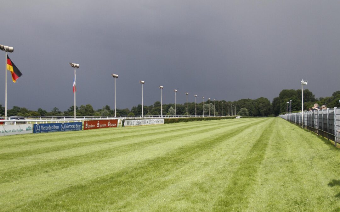 IN PATTERN RENNEN OHNE CHANCE