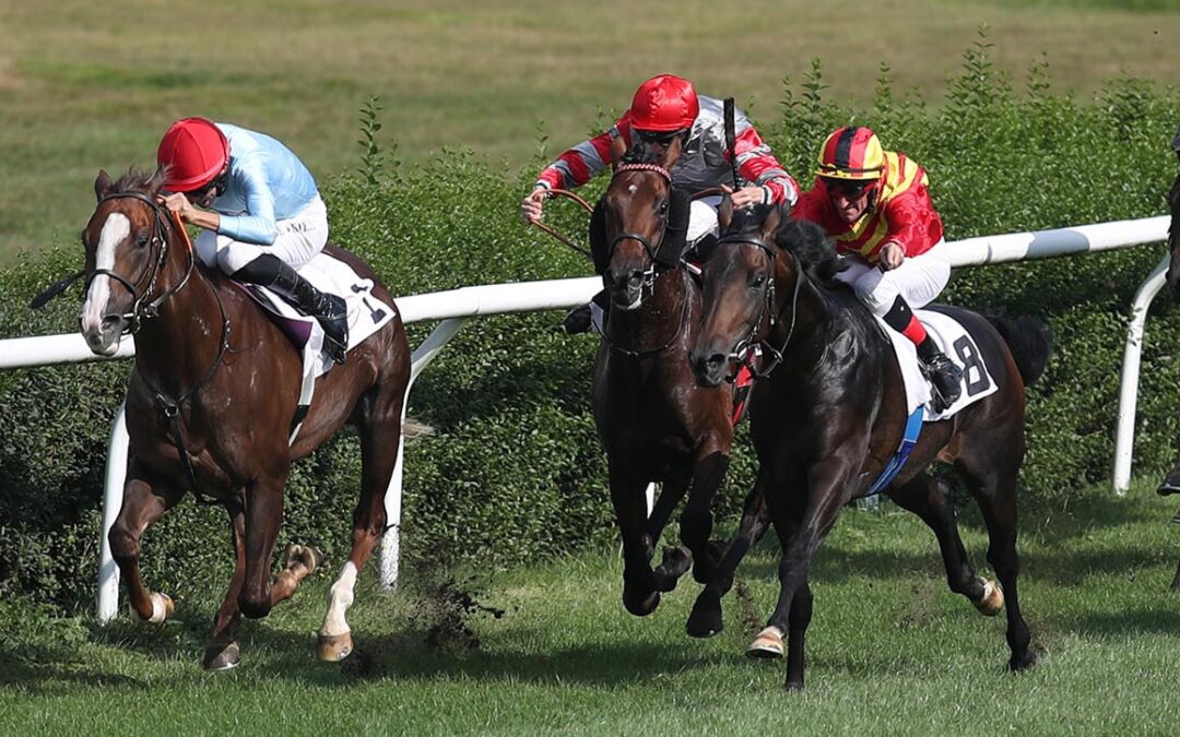 “MISTER” LÄUFT ERNEUT STARK