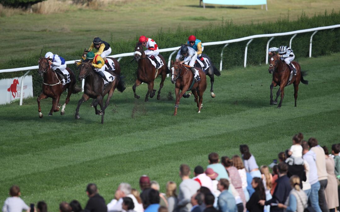 NOCH ZU SCHWER ANGETROFFEN