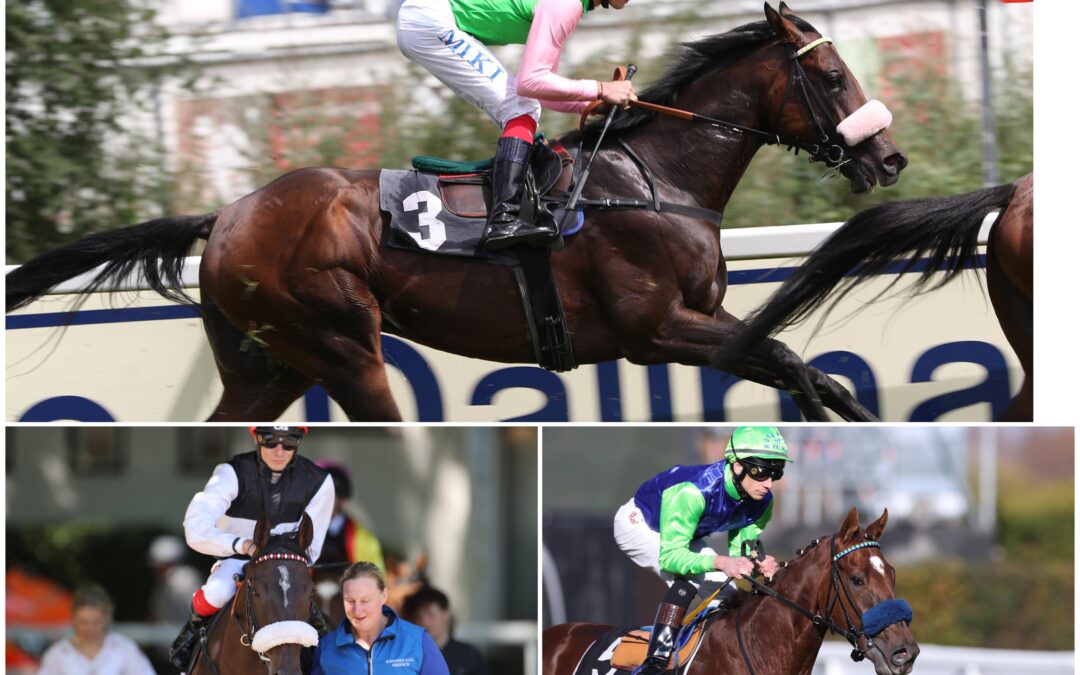 GRUPPESTARTER UND SIEGLOSE