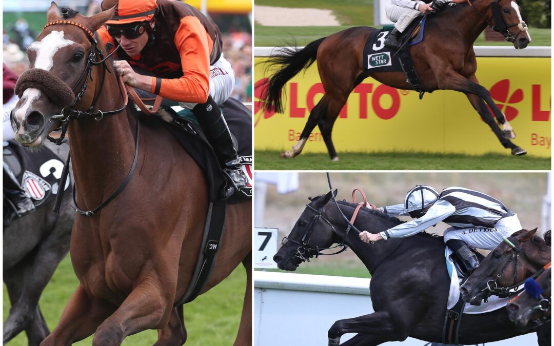 EIN TRIO FÜR DIE HANDICAPS