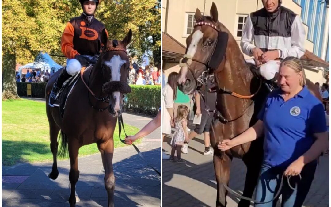 MIT UND OHNE HONORAR