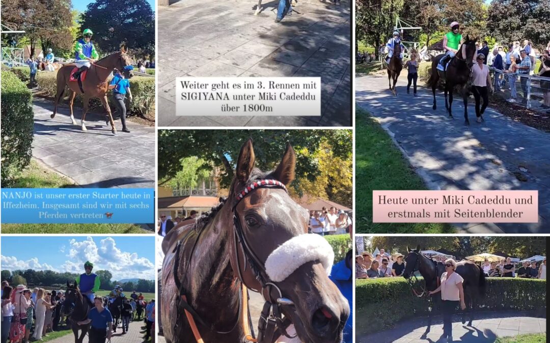 AUCH AUF INSTAGRAM FOLGEN