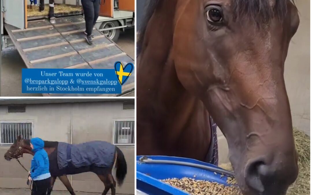 VIRGINIA STORM “VÄL ALÄNT”