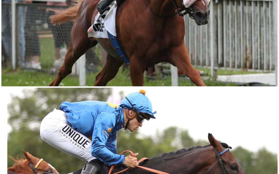 DOPPELSPITZE IM EUROPA PREIS