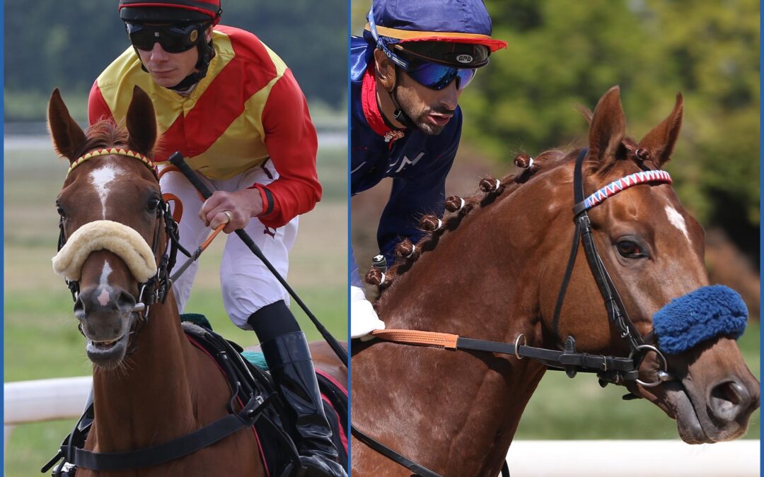 ZWEI STARTER IN HANNOVER