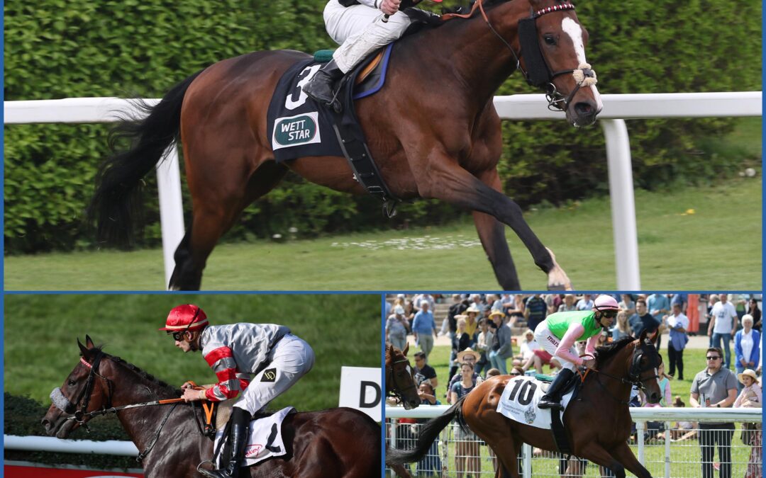 EIN TRIO AM TAG DER EINHEIT