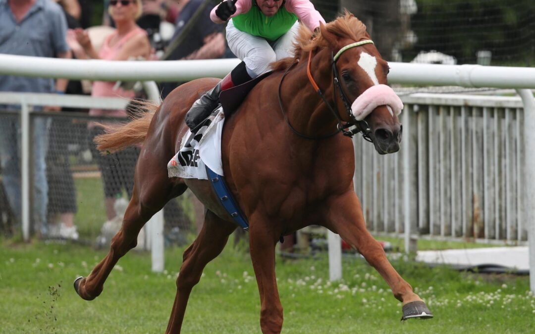 SISFAHAN COME-BACK IN KÖLN