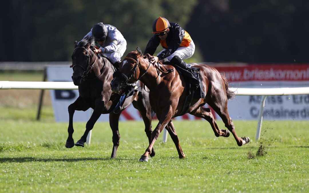 WIEDER BEZWINGER GEFUNDEN