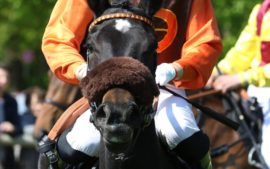 DOPPELDEBUT OHNE HONORAR