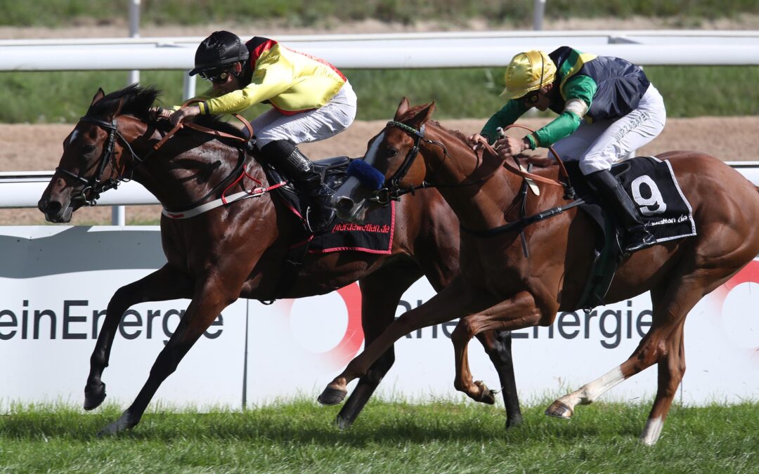 STARKE ZWEITE BEIM LEBENSDEBUT
