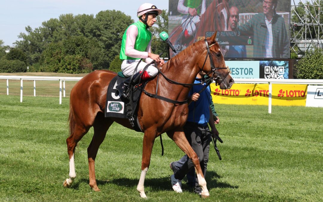 FÜNFTE IN SCHLAMMSCHLACHT