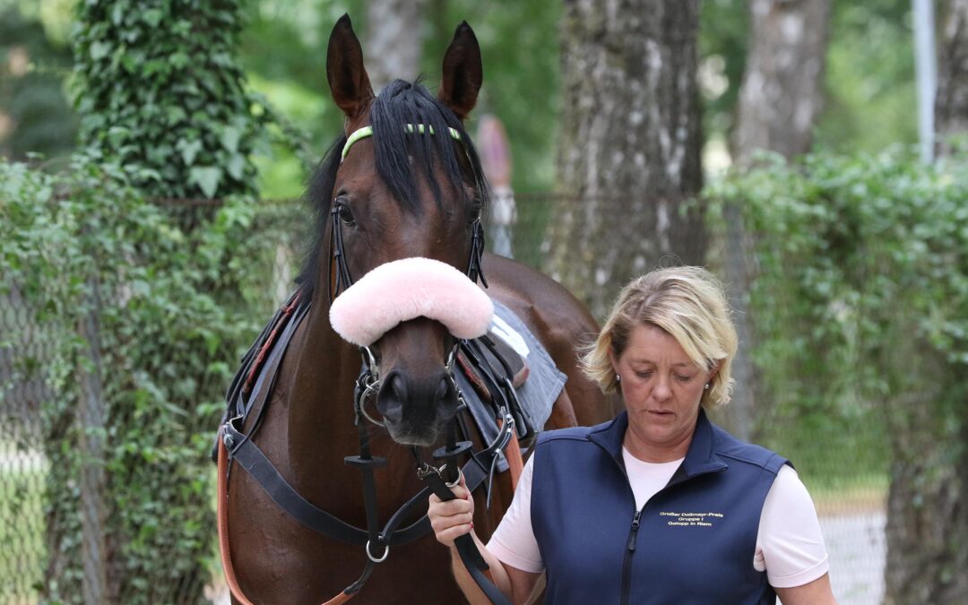 RUBAIYAT WÄRE ÜBERFÄLLIG