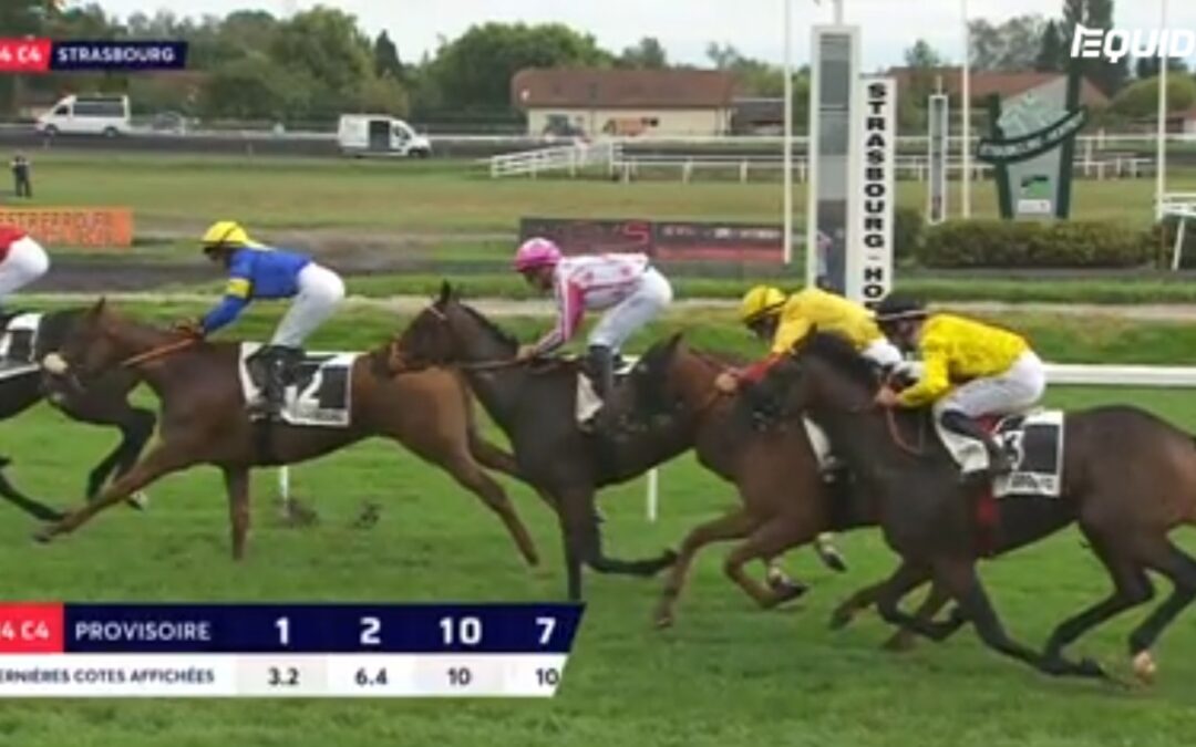 LETZT FORM NICHT BESTÄTIGT