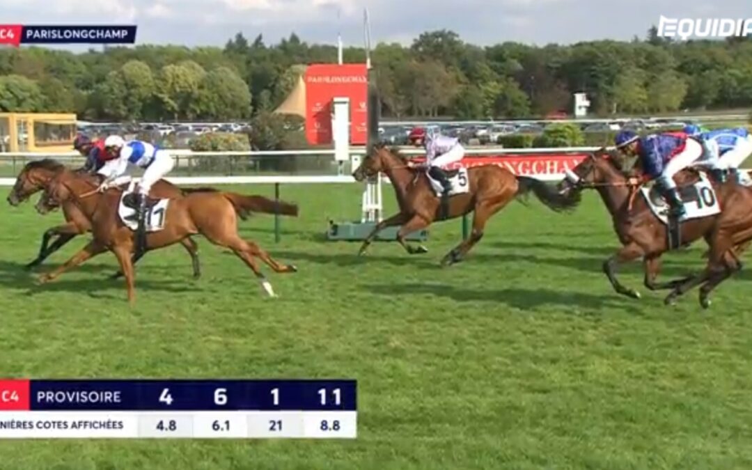 SPÄT AUF TOUREN-PLATZ SECHS