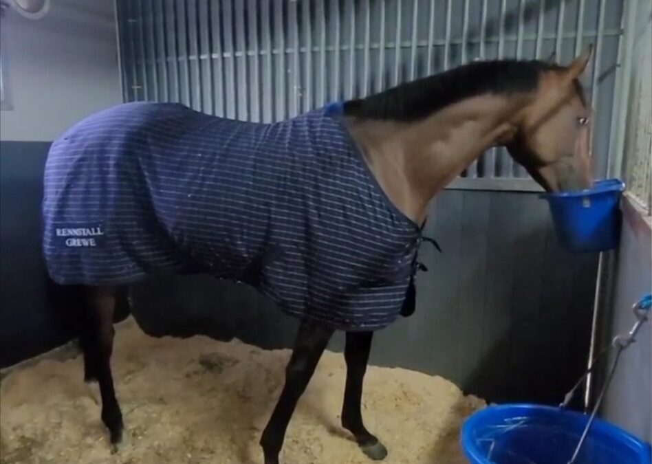 ZWISCHENSTOP ERREICHT