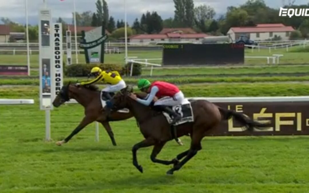 WIEDER UM HALS GESCHLAGEN