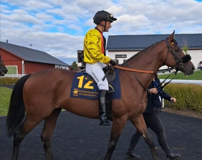 Kein “Sturm” über Stockholm