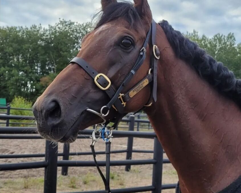 EIN LETZTER BLICK ZURÜCK