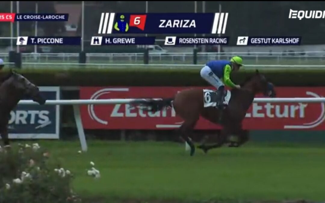 ZARIZA NICHT MEHR SIEGLOS