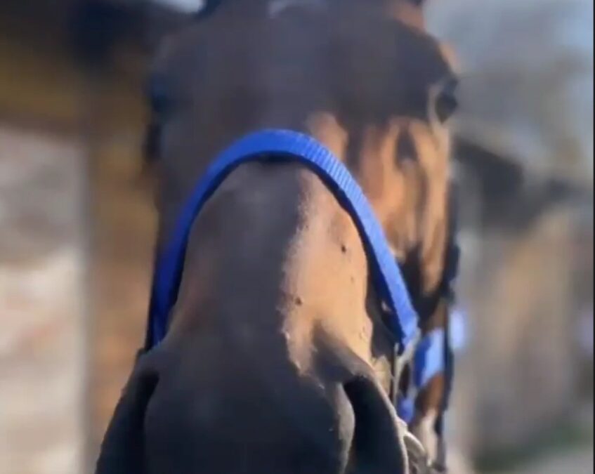 GRÜSSE MEINE FANS DA DRAUSSEN