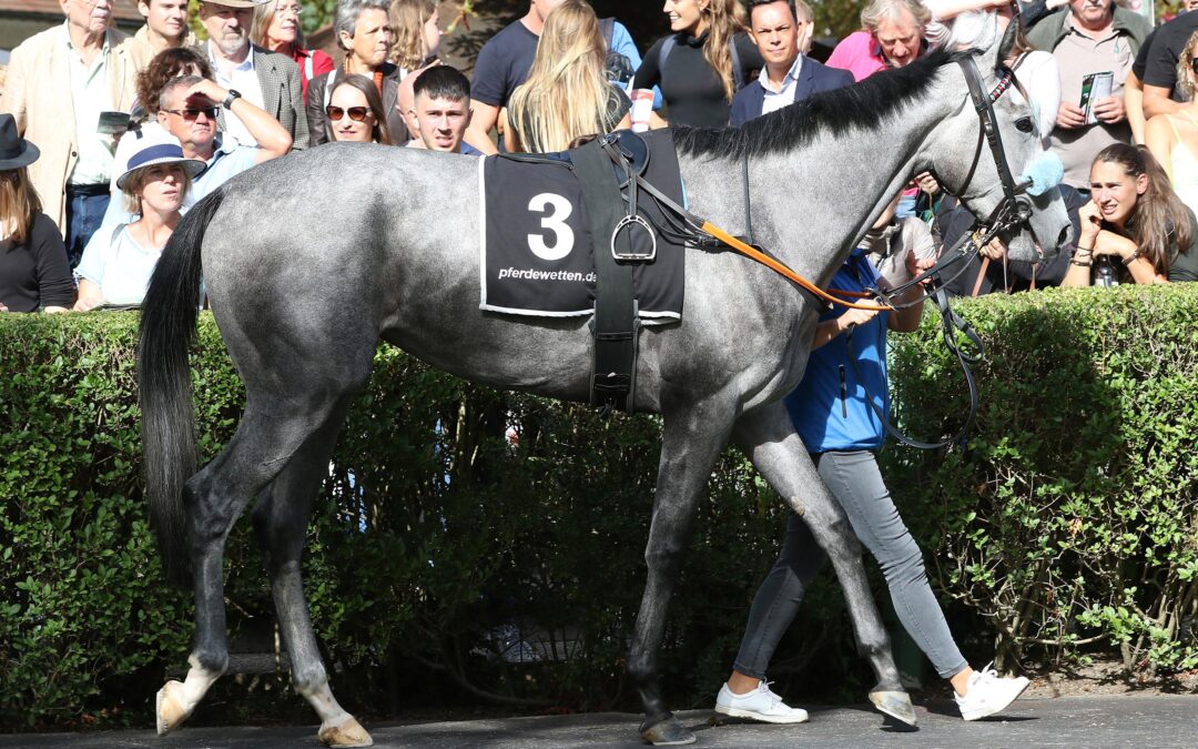 ERSTEN GRUPPE TREFFER IM VISIER
