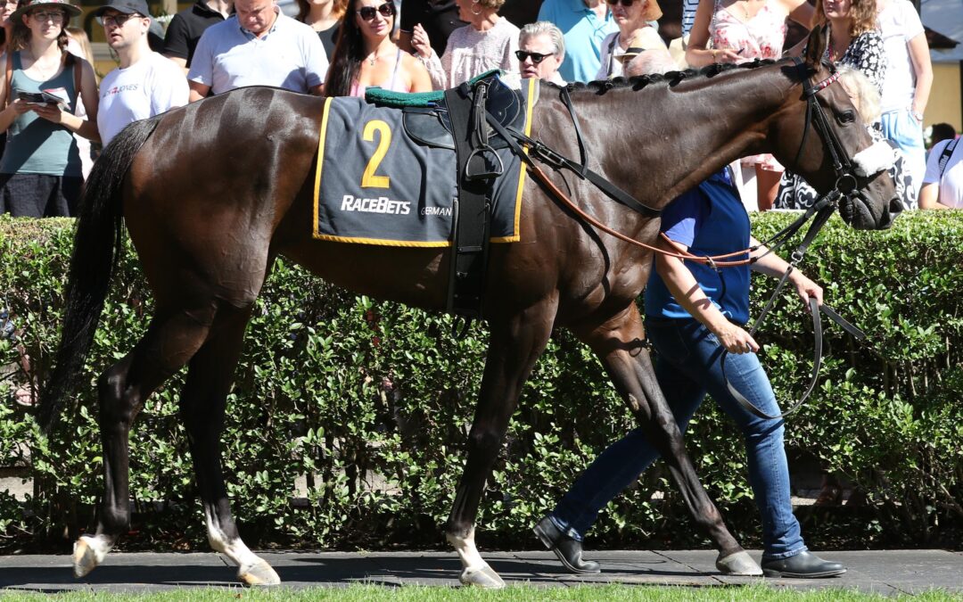 WIEDERUM PLACIERT GELAUFEN