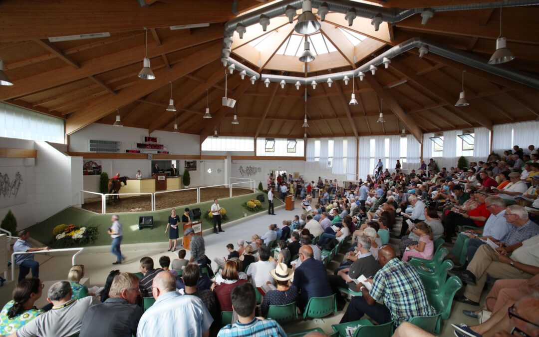 ZWEI ANGEBOTEN-ZWEI VERKAUFT