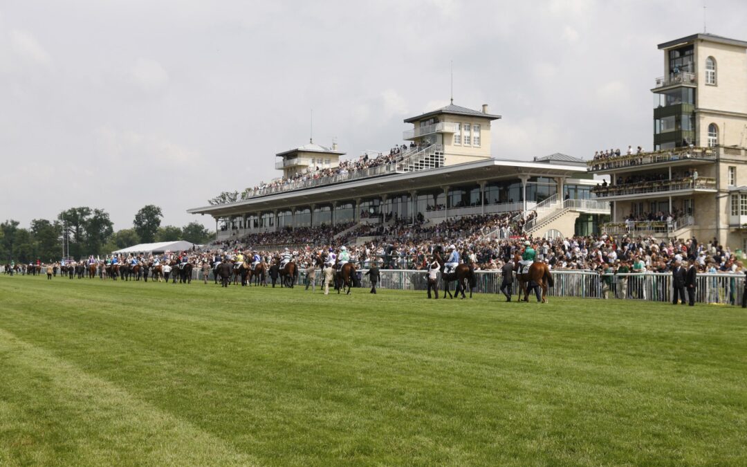STARTERIN IN CHANTILLY